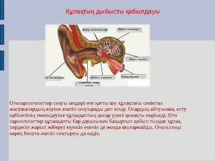 Танымал мультфильм кейіпкерлерімен жыныстық қатынас
