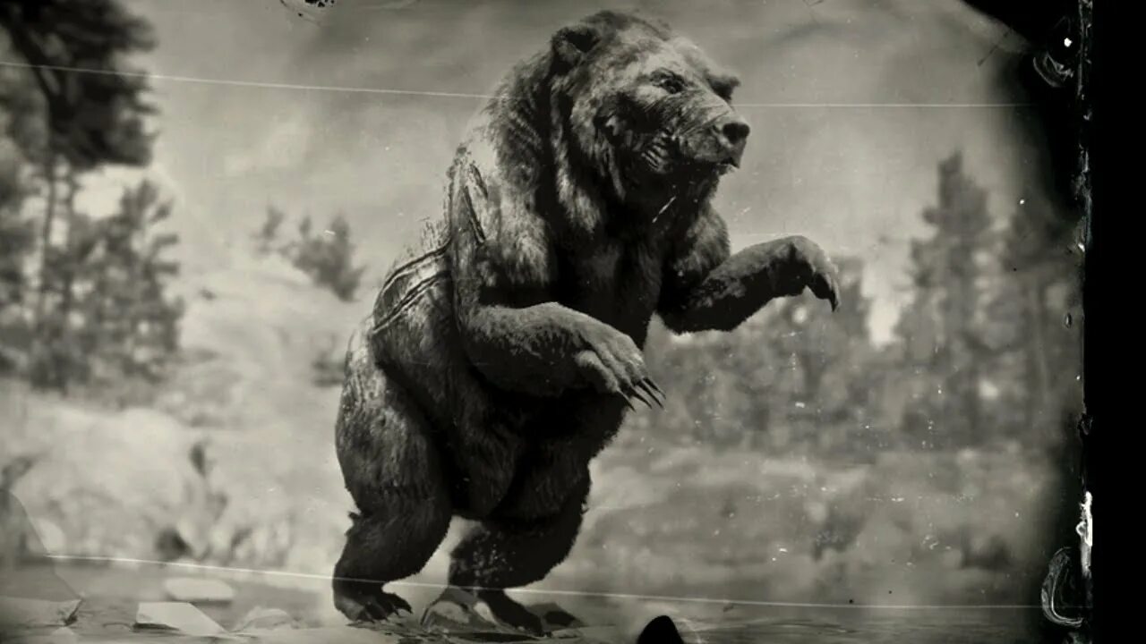 Legendary animal. Легендарный медведь rdr 2. Легендарный медведь Гризли рлр 2.
