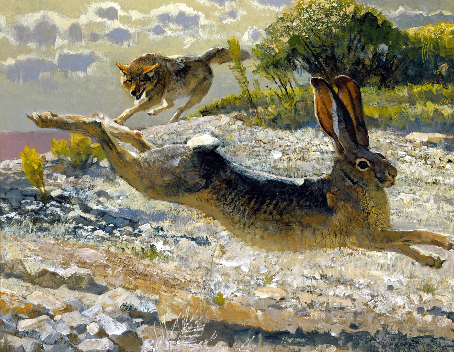 Анималист изображающий животных. Васнецов анималист. картина животные.