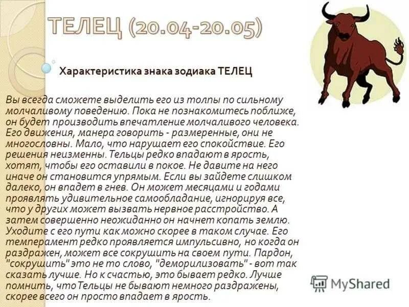 Собака бык совместимость в любви