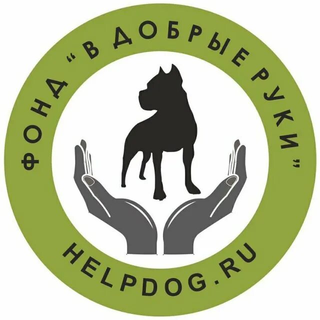 Helping dogs. Хелпдог. Клуб собак. Хелп дог. Шереметьевский приют для породистых собак.