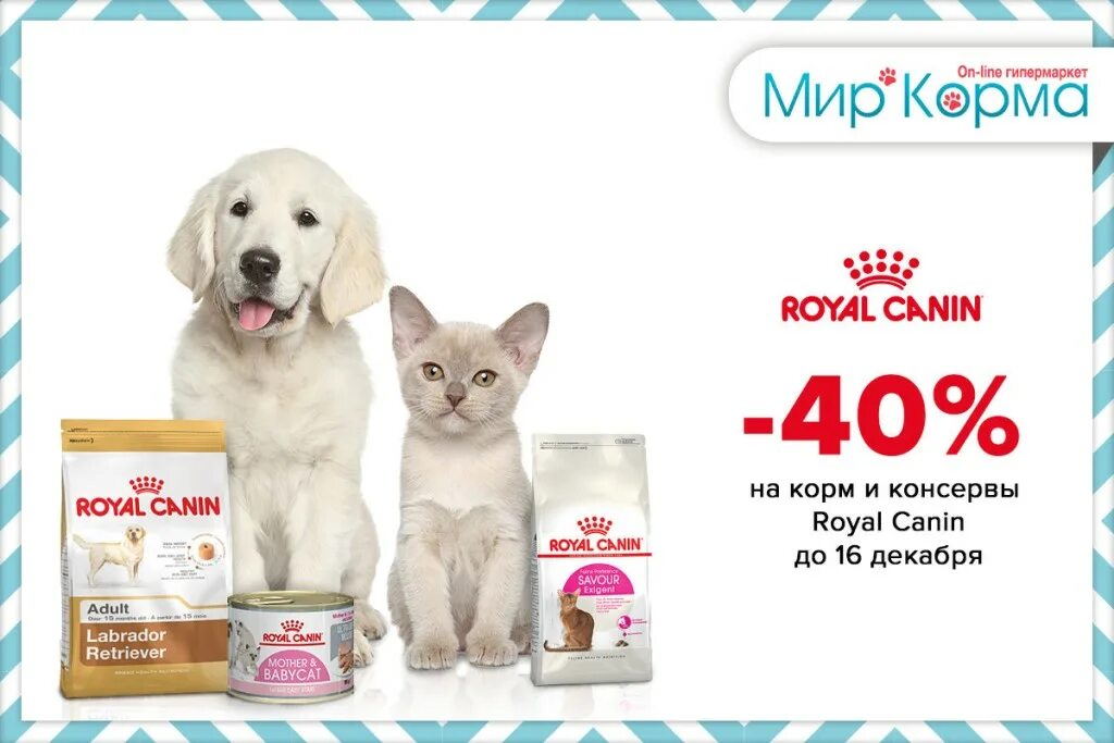 Оформление красивый каталог корм для животных. Мир кормов интернет магазин корма для животных. Мир кормов интернет магазин корма для животных. Мир кормов интернет магазин корма для животных. Сайты для животных товары для животных.