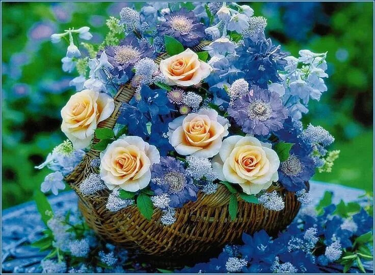 I a beautiful flower. Чудесные цветы. Красивый букет цветов. Роскошные цветы. Красивые корзинки с цветами.
