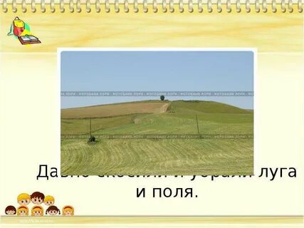 Луга давным давно скошены и только