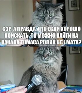 Не поняла вас сейчас