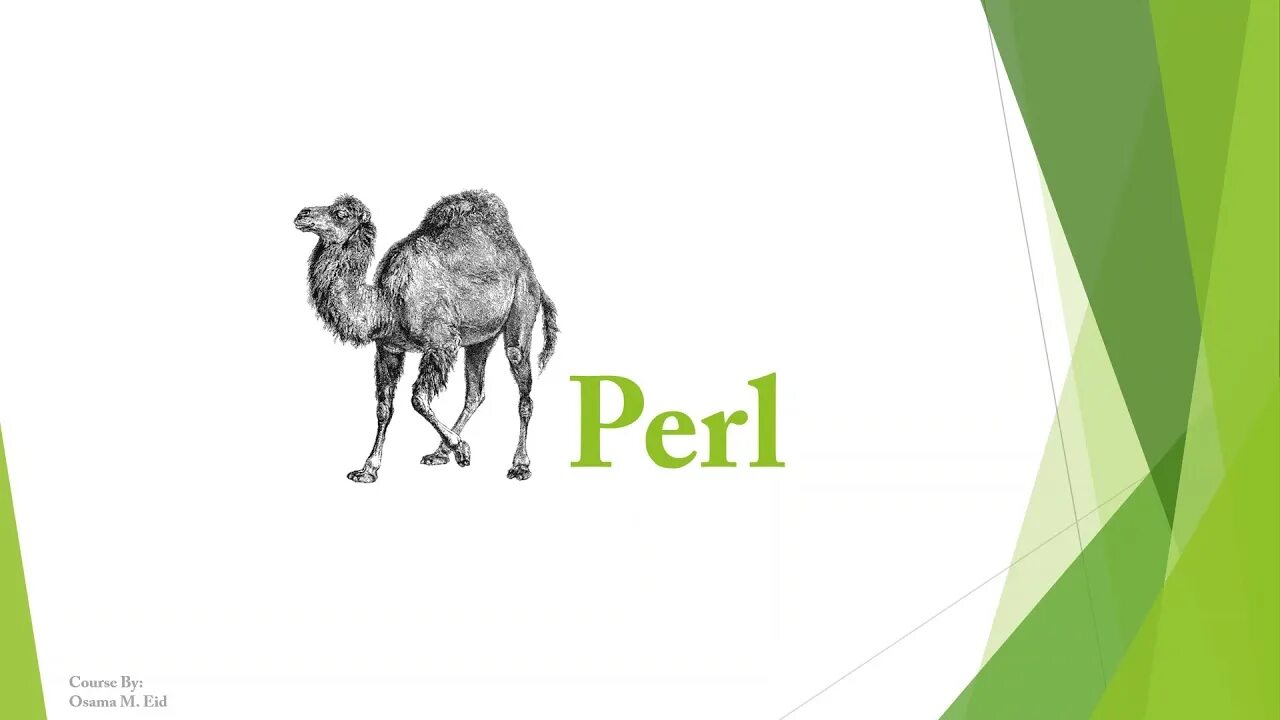 Хеши perl. Perl верблюд. perl аватарка. perl логотип без фона. one more perl.