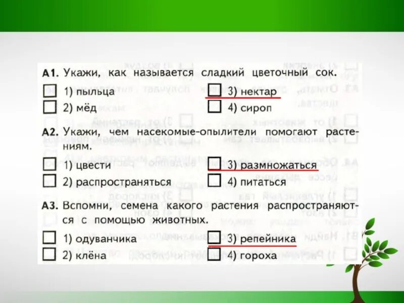 Размножение и развитие растений 3 класс тест. Развитие растений 3 класс. Тест по окружающему размножение и развитие. Проверочная работа размножение растений. Тест 3 класс экологическая безопасность плешаков