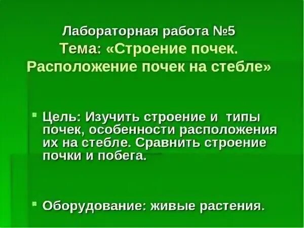 Лабораторная работа строение почки