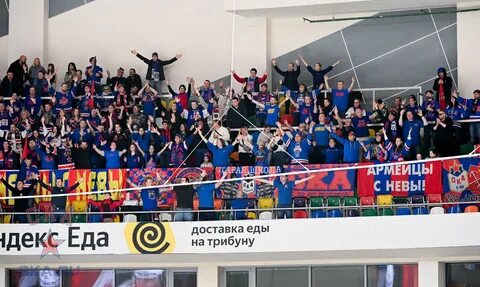 Фестиваль цветов ска арена