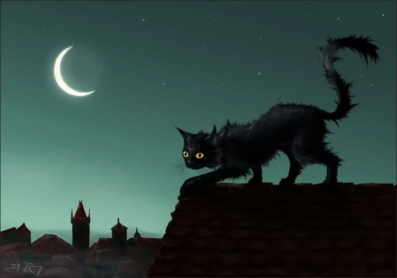 Кот ночью ходит. Кот бегает по квартире. Кот ночью ходит. Кошка луна. Кот ночью ходит.