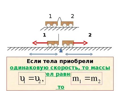 Физика масса тела единицы массы 7 класс