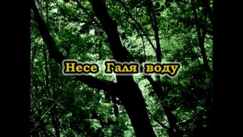 Песня несе