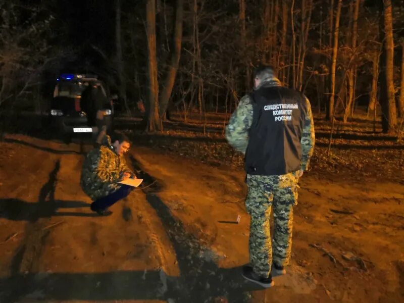 Найдено в туле