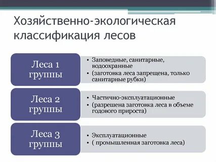 Виды категорий лесов