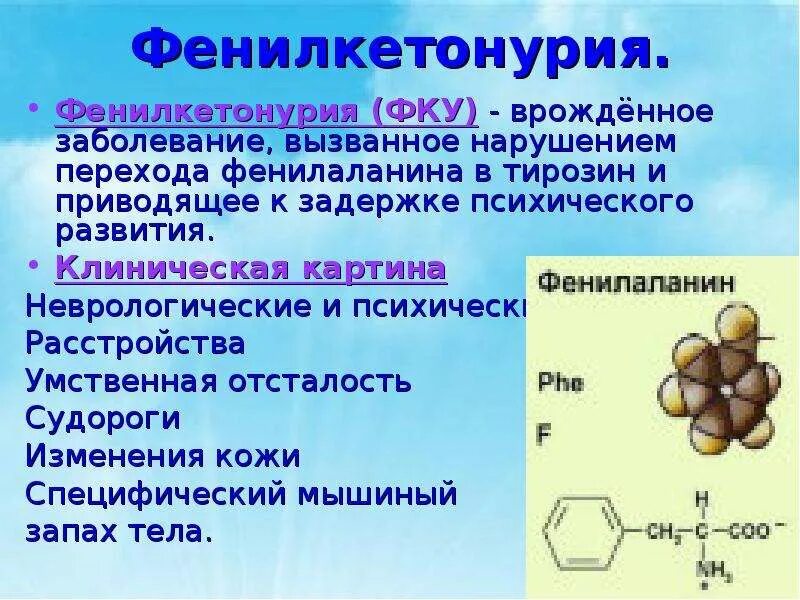 Фенилкетонурия фермент. Генетика человека презентация. Генетика и здоровье человека презентация 10 класс. Генотип и здоровье человека.