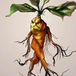 Кричащие цветы