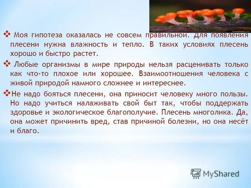 Известно что для развития плесени необходимы