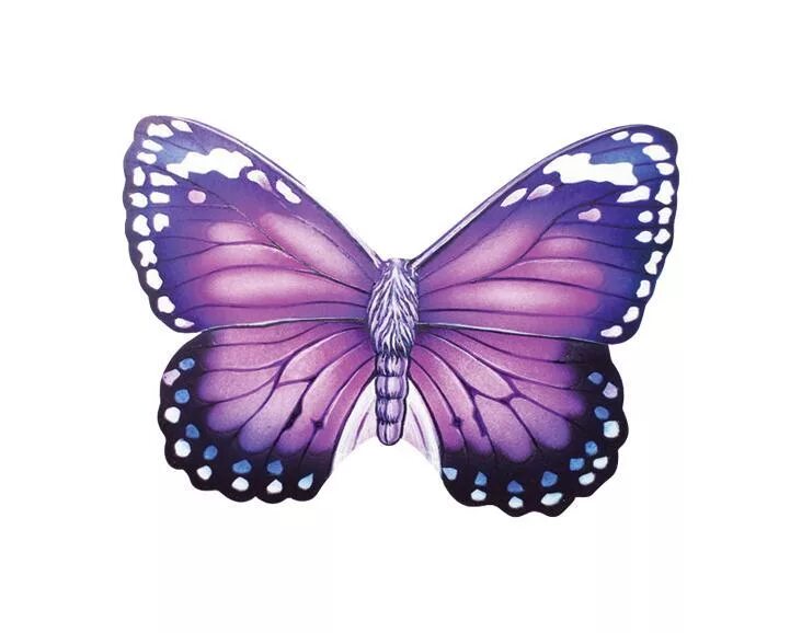 Фиолетовые бабочки картинки. Сиреневый торт с бабочками. Сиреневые бабочки. Бабочка фиолетовая. Бабочка лиловая.