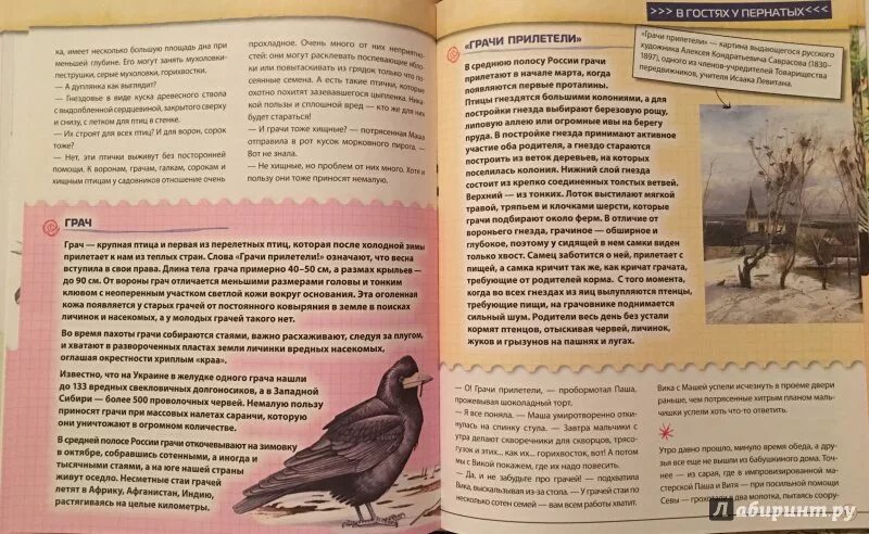 Ребята ждут пернатых гостей. Рассказ о пернатых гостях. Текст пернатые гости. Текст про пернатых гостей. Рассказ пернатые гости.