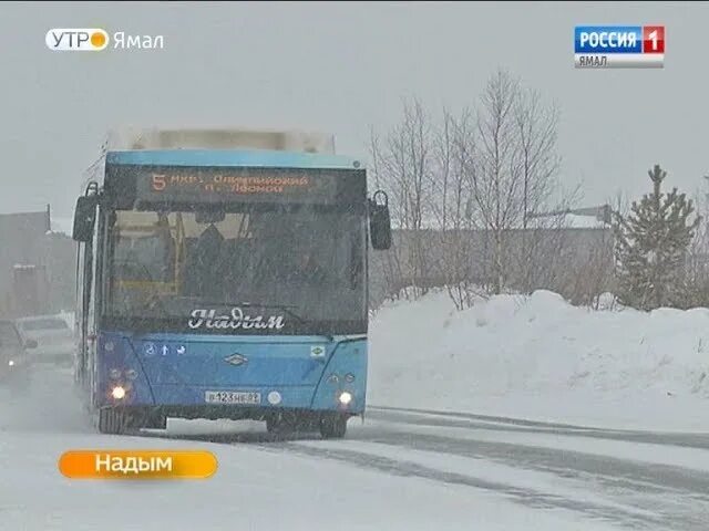 Автобус Ямал. Автобус Надым. Автобусы города Надым. Автобус новый Уренгой Надым.