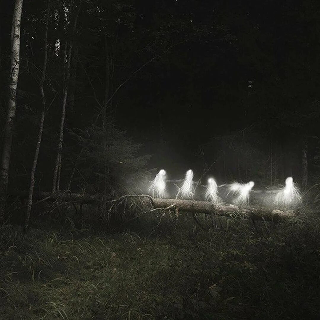 Tomarum (Christine Linde). Языческий лес. Дух в ночном лесу. Лес Эстетика мистика. Видео ночью полные