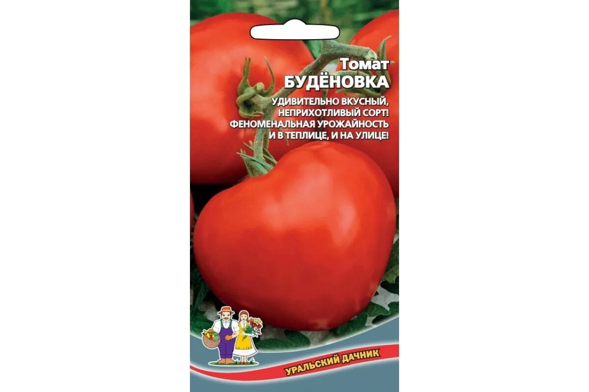 Томат буденовка розовая. Томат Буденовка Уральский Дачник. Томат Буденовка характеристика и описание сорта. Томат Буденовка открытый грунт. Томат томат Буденовка.