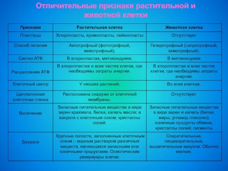 Сравнительная характеристика животной клетки и растительной клетки. Таблица признаки растительная клетка животная клетка. Таблица признаки клетки растений и клетки животных. Сравнительная характеристика растительной и животной клетки таблица. Сходство и различие бактерий и растений