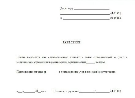 Заявление на детские ежемесячные
