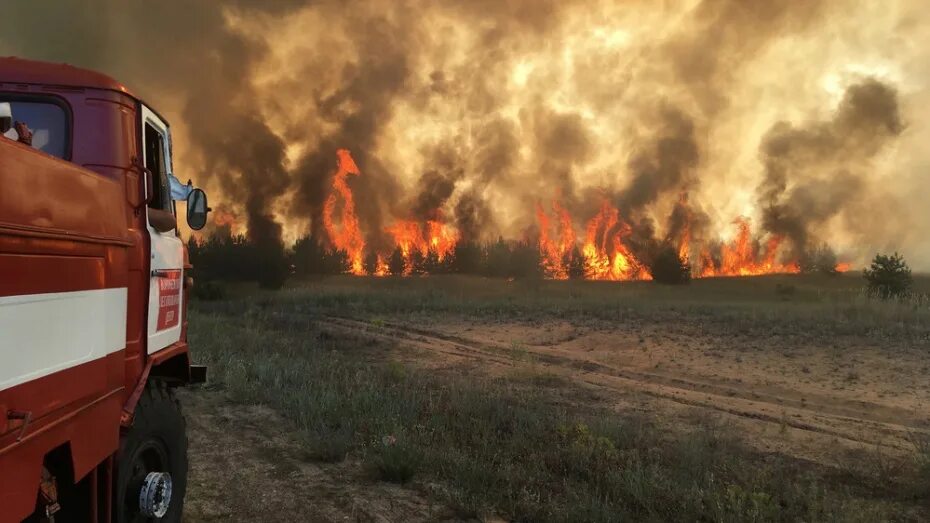 Пожар в богучарском районе. Пожар в ольховатке. пожар ольховатка лес.