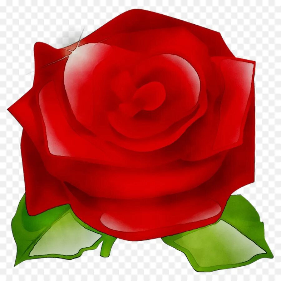 Rose icons. Значок розочки. Стикер в виде розы. Цветок иконка цветная.