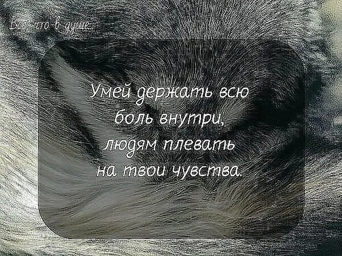 Умираю изнутри песня. Статусы про боль в душе. Статусы про боль. Цитаты про боль в душе. Цитаты про боль.