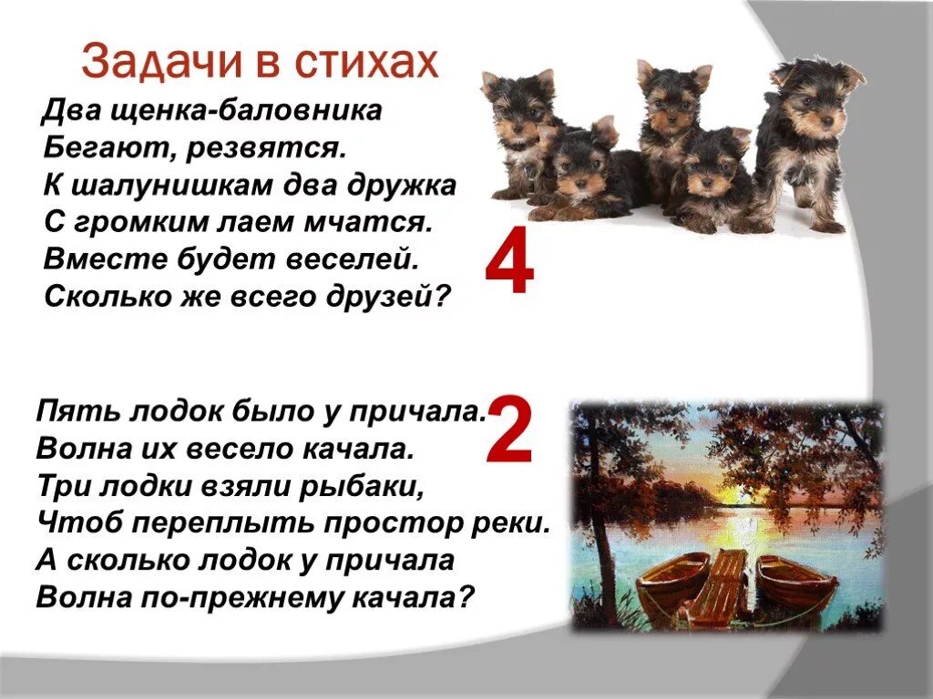 Стих 2 щенка. Два щенка стих. 2 задачи в стихах. стихотворение 2 щенка. два щенка баловника бегают резвятся.