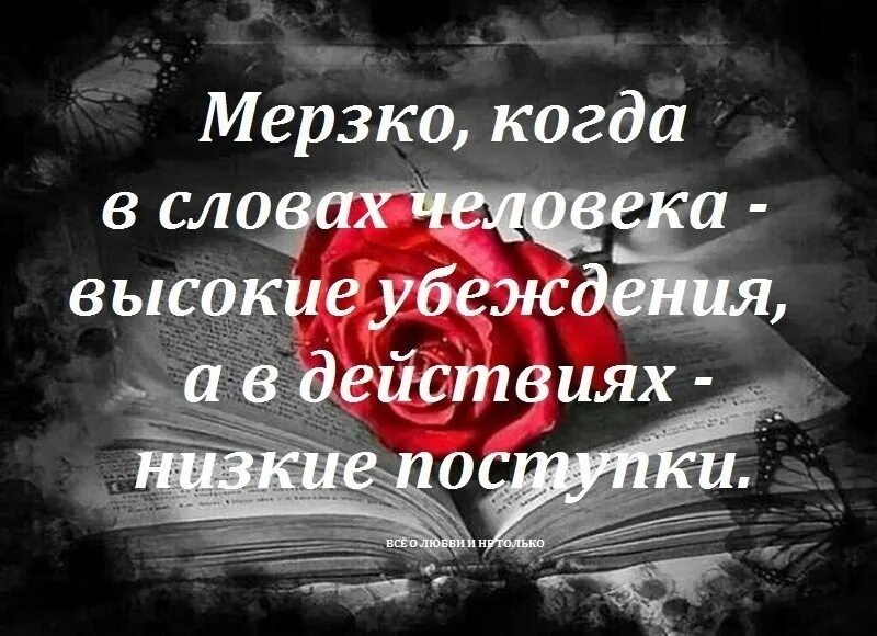 Статусы про подлые поступки. Статусы о подлых поступках людей. Самые подлые люди близкие люди. Мерзко когда в словах человека высокие.