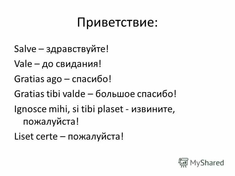 Tibi non. «Salve/Здравствуйте».. Gratias Tibi. Сальве Приветствие. Non Scholae sed vitae discimus падеж.