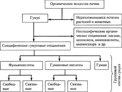 Роль органические вещества в почве