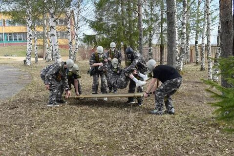 Зарница чередующаяся