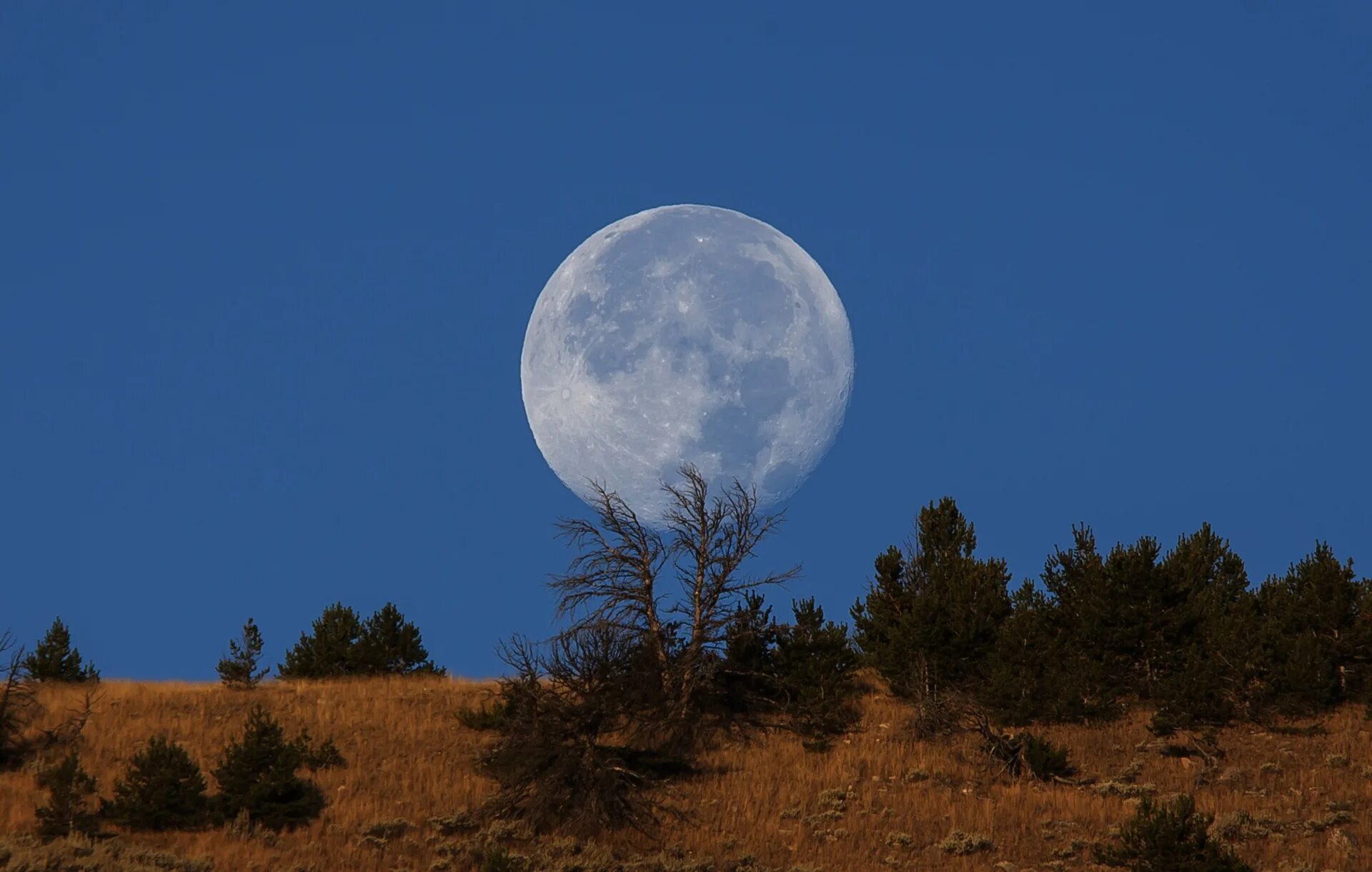Земля на небе луны. Луна. земля и луна. фотографии луны. луна настоящая.