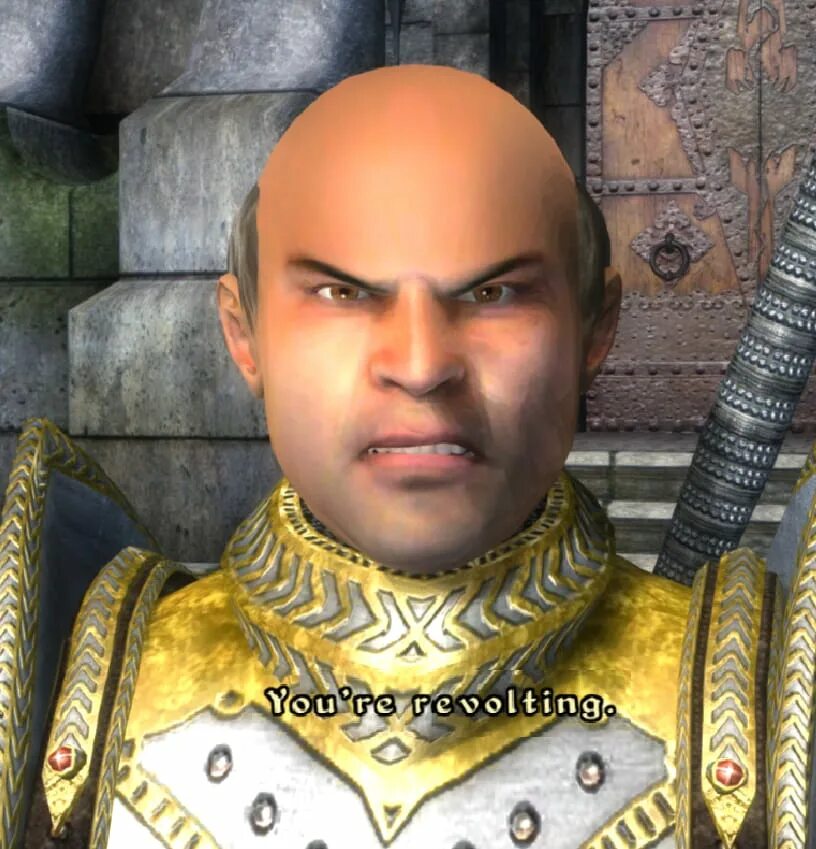 Нпс из обливиона. Oblivion npc. Тес обливион нпс. Босмер обливион. Нпс из обливиона.