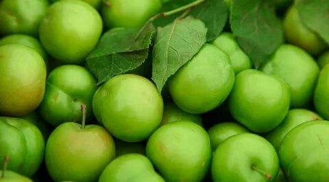 Green cherry