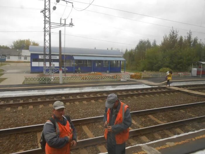 Московский вокзал нижний новгород пригородные поезда. Поселок шеманиха. Электрички шеманиха нижний новгород сегодня. Станция тарасиха нижегородская. Электричка моховые горы нижний новгород.
