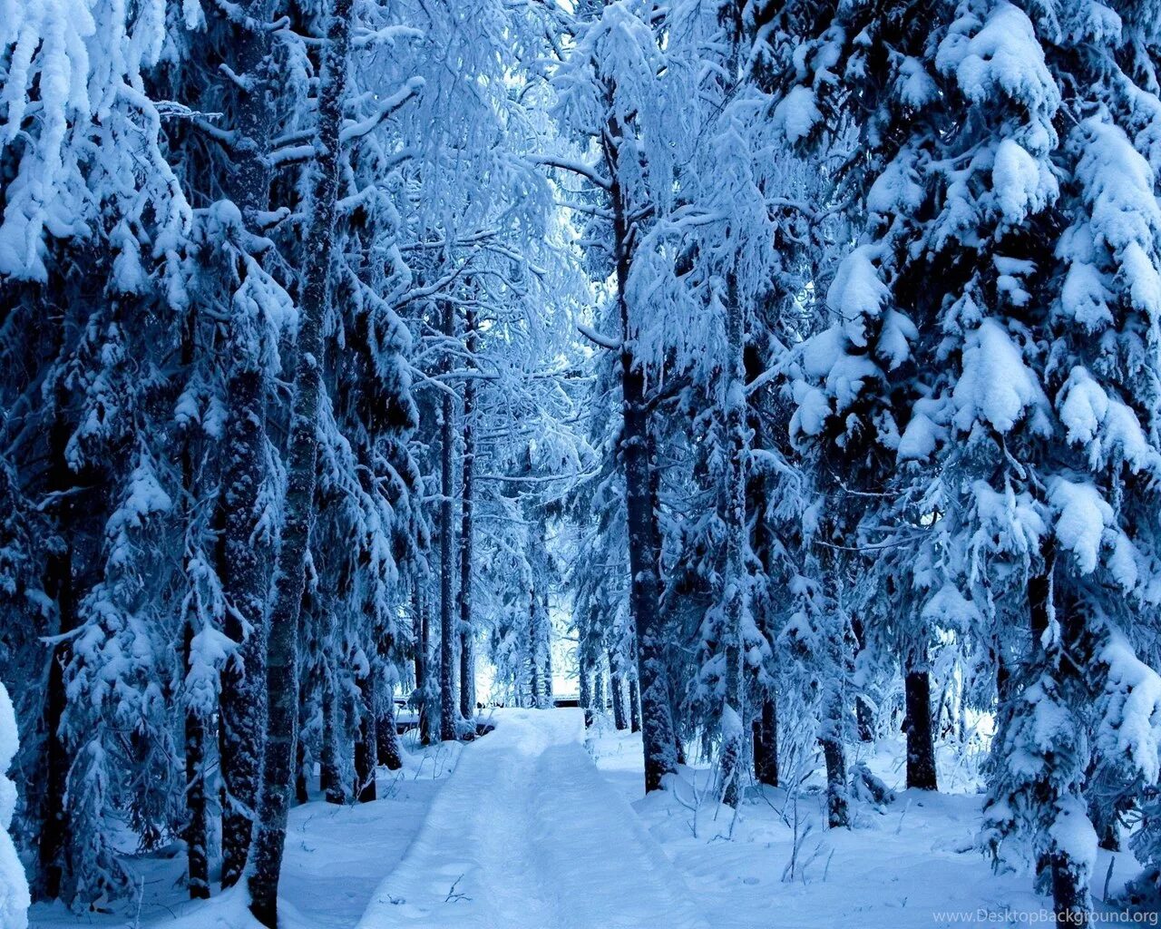 Snow good