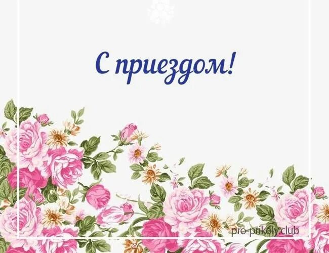 С приездом картинки с надписями. Шары с возвращением домой любимый. С приездом домой. С приездом картинки с надписями. С приездом картинки с надписями.