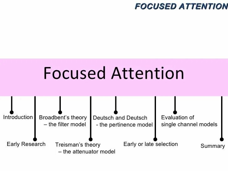 Focused attention. Focus attention. Модель Трейсман. Attention, focusing games. Functions of attention.