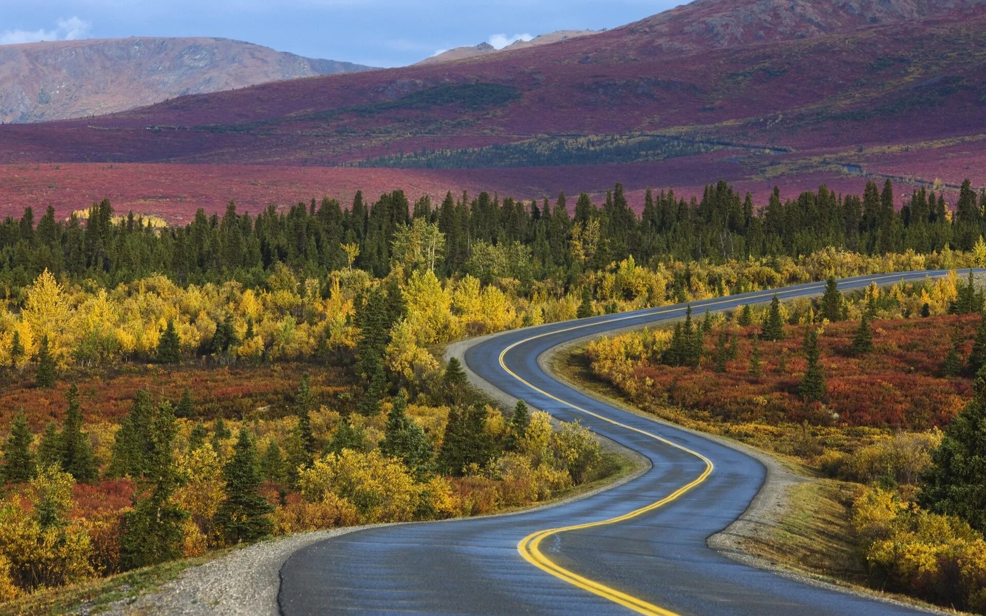Дорога в большой мир пейзаж. Дорога Орегон штат солнце. Аляска (штат США). Анкоридж Аляска. Аляска горы лес.