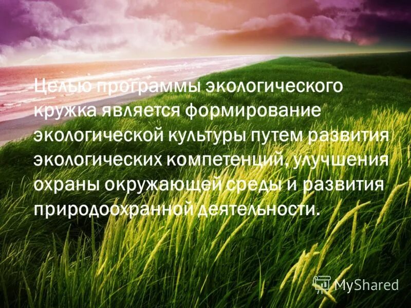 Презентация о кружке экологии. Программа экологического кружка. Программа экологического кружка. Программа экологического кружка. Программа экологического кружка.