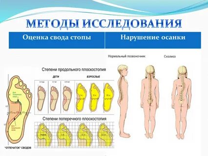 Свод оценщикам