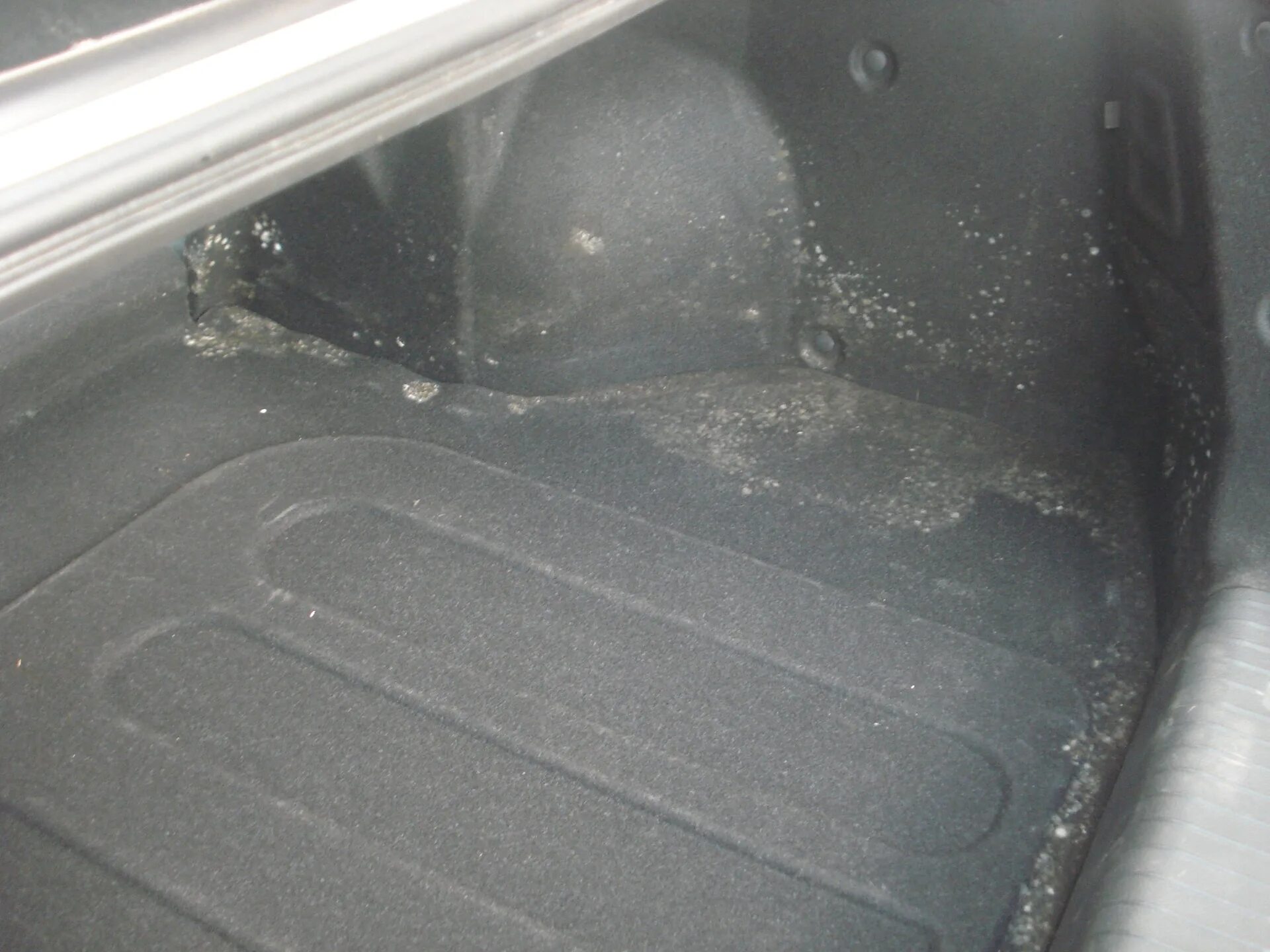 Плесень в салоне машины. Плесень под ковролином. Плесень в авто. Как удалить плесень из машины. Как удалить плесень из машины.