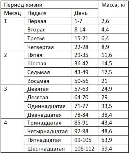 Таблица масс животных. Прирост поросят по месяцам таблица. вес поросят по месяцам таблица. сколько весит поросенок в 8 месяцев. сколько должен весить 2 месячный поросенок.