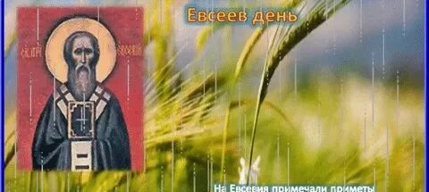 5 июл