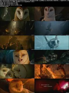 The night guardians